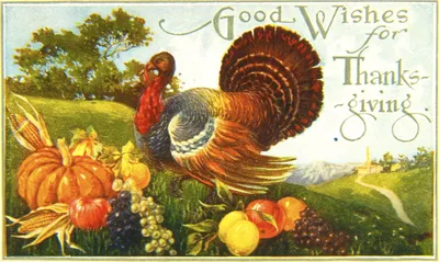 Счастливая открытка на День Благодарения Стоковое Изображение - изображение  насчитывающей комната, яркое: 159653477
