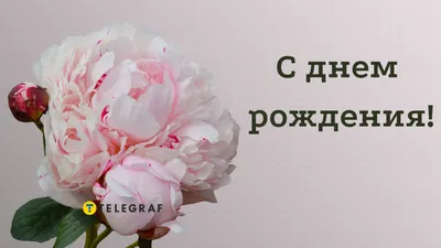 С Днём Рождения Женщине!🌹 Шикарная Песня! Красивое Поздравление С Днём  Рождения Для Женщины! 🌹 - YouTube