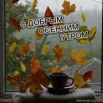 🍁 ⛅ ☕ Картинки С добрым осенним утром - скачать (240 шт.)