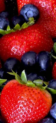 Диетолог рассказала, почему летние фрукты могут быть опасны для здоровья |  Комментарии Украина