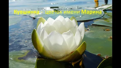 Песни с именами: Песня про Марину (Часть 2) | С Днем Рождения Марина -  YouTube