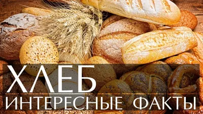 Круглый хлеб - 54 фото