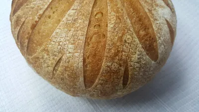 Интересные факты о хлебе