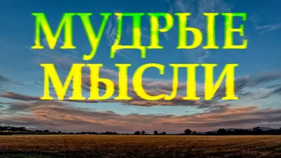 Красивые слова о любви и отношениях: мудрые высказывания известных людей