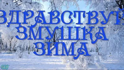 С первым днем зимы - красивые поздравления в стихах и прозе