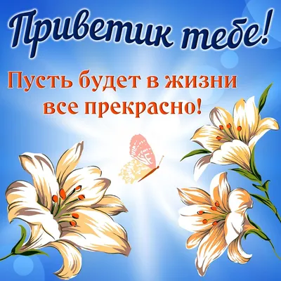 Красивые Цветущие Цветы Надпись Привет Весна Сером стоковое фото  ©KateNovikova 185965116