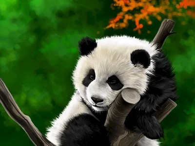 Панды едят бамбук, красиво, …» — создано в Шедевруме