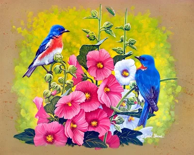 Картинки птицы и цветы (68 фото)