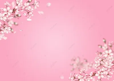 Красивые Старинные Сакура Дерево Цветок (вишни) Весной На Фоне Голубого  Неба. Марочный Цветовой Тон Стиль. Фотография, картинки, изображения и  сток-фотография без роялти. Image 69825615
