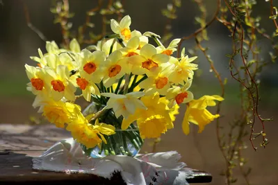 Открытка с весенними цветами на день рождения девушке — Скачайте на Davno.ru