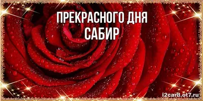 SABR 2024 | ВКонтакте