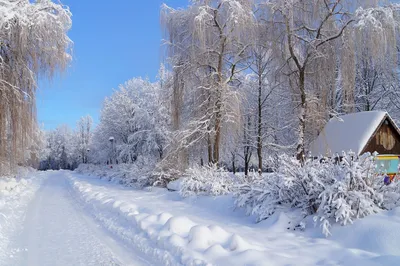 Очень Снежная зима (58 фото) - 58 фото
