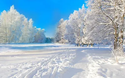 Снежная зима,красивый брутальный …» — создано в Шедевруме