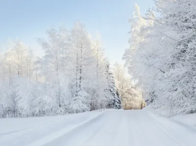 Let it snow: самые снежные страны | MARIECLAIRE