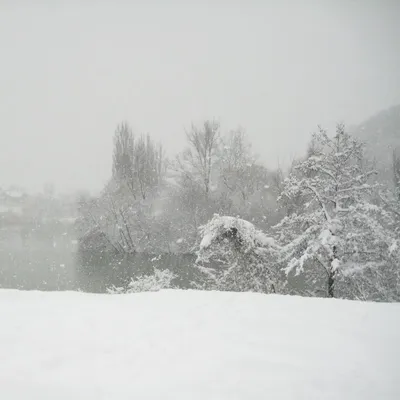 Десять самых красивых описаний снега и зимы в английской литературе - ZIMA  Magazine