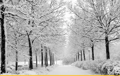 Самые красивые фото снежной Одессы из соцсетей | Новости Одессы