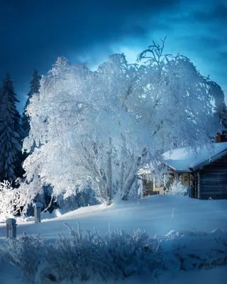 Красивая снежная зима в России Стоковое Изображение - изображение  насчитывающей люди, освещение: 82668425