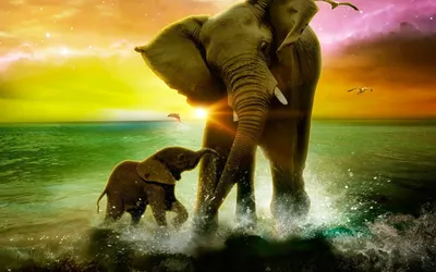 Картинки красивый слон (52 фото)