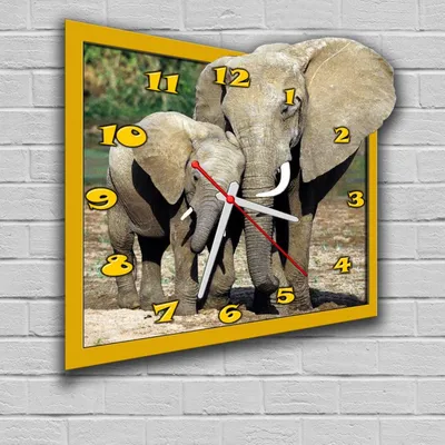 Смешные и прикольные картинки про слонов (74 фото)