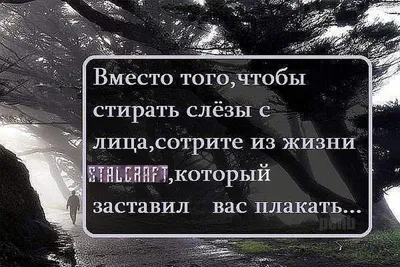 Статусы со смыслом короткие о жизни для ватсапа | Фотографии на тему жизни  - pictx.ru