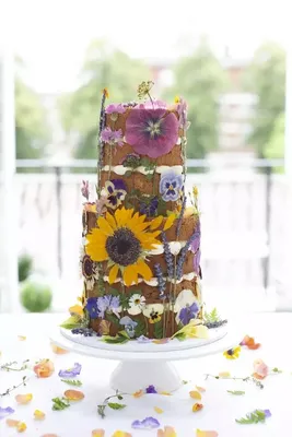 Самые красивые свадебные торты- Кулинарные фоторепортажи | Обозреватель |  OBOZ.UA