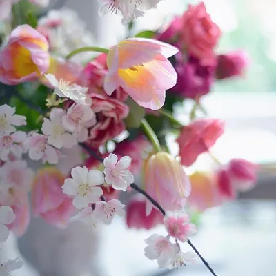 картинки : природа, цветение, тюльпан, весна, ботаника, Рыжих, сад, Флора,  Дикий цветок, красивая, Нарцисс, Тюльпаны, Крокус, весенние цветы, Садовые  цветы, цветущее растение, Наземный завод, Лиловая лилия 4288x2848 - -  813085 - красивые картинки - PxHere