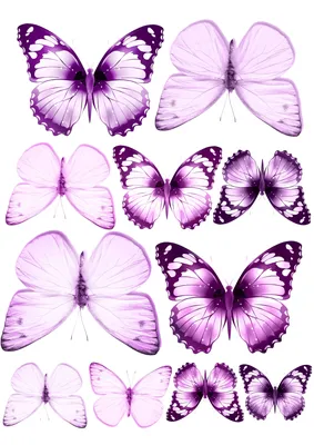 🌞 В вихре из цветов и бабочек …» — создано в Шедевруме