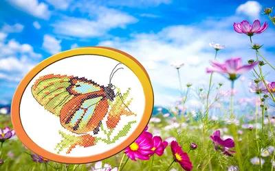 Яркие бабочки фото - origins.org.ua