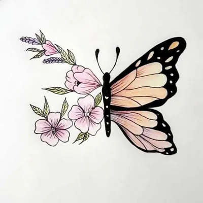 Бабочки из фоамирана: выкройки, шаблоны, пошаговый мастер-класс и красивые  фото-примеры по созданию бабочек своими руками