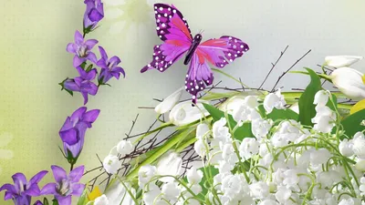 7 видов бабочек, которые заставят вас влюбиться в них с первого взгляда» —  создано в Шедевруме