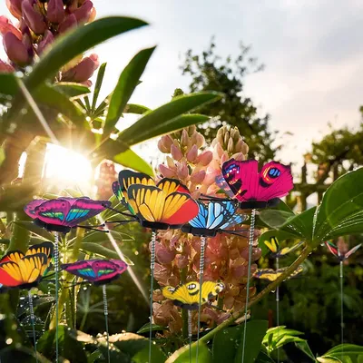 Красивые картинки цветов и бабочек фотографии