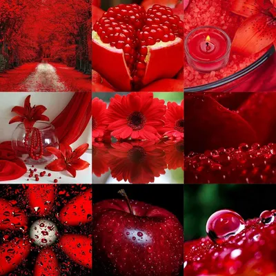 Красивые картинки в красном цвете