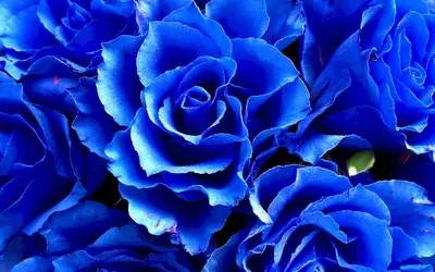 Синий цвет - красивые картинки (72 фото)