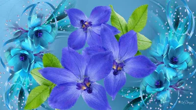 Синий цвет в природе - красивые фото