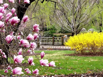 Картинки красивые весна пришла природа (68 фото) » Картинки и статусы про  окружающий мир вокруг