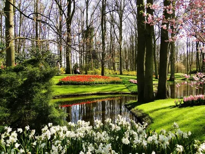 Красивые весенние обои на рабочий стол - Весна - Природа - Картинки на  рабочий стол