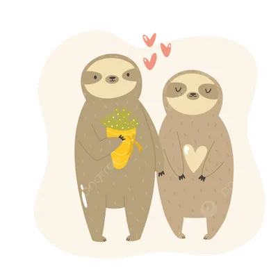 забавная иллюстрация двух влюбленных ленивцев PNG , Любовь, медленный,  приключение PNG картинки и пнг рисунок для бесплатной загрузки