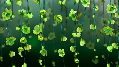 Красивые листья зеленого цвета как предпосылка Стоковое Изображение -  изображение насчитывающей вал, зеленый: 56371247
