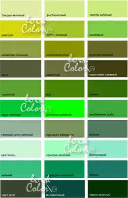 оттенки зеленого | Зеленый, Оттенки зеленого, Цветовые схемы красок