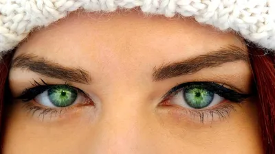 Внимание Closeup Of One Красивые Зеленые Глаза — стоковые фотографии и  другие картинки Зелёный цвет - Зелёный цвет, Люди, Радужная оболочка -  iStock