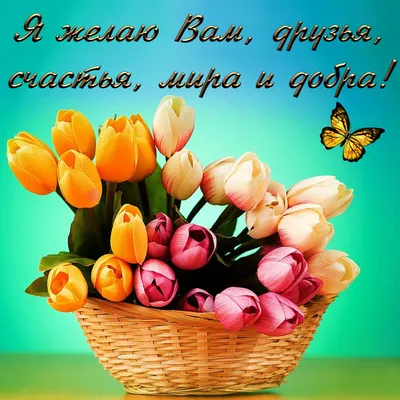 Открытки - Желаю счастья! 💝💞💗💖💜💝💞💗💖💜💝💞 Желаю счастья целый  ворох, Улыбок, радости букет, Друзей надежных и веселых, Счастливой жизни,  долгих лет. | Facebook