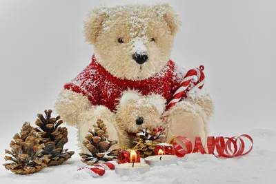 Бесплатное изображение: красивые, свечи, украшения, любовь, романтический,  снег, игрушка-плюшевый мишка, игрушка, Рождество, Зима