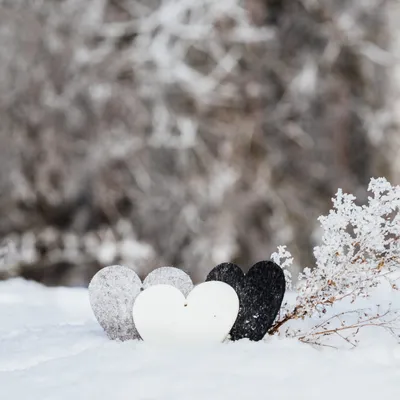 Зима утро любовь картинки - 78 фото