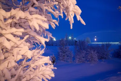Снег вечером (56 фото) - 56 фото