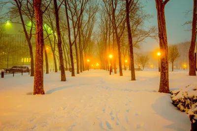 картинки : дерево, снег, зима, Солнечный лучик, утро, вечер, Осень, Погода,  время года, Замораживание 6000x4000 - - 177752 - красивые картинки - PxHere