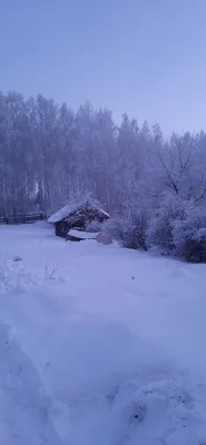 Зимний вечер | Заметки обо всём понемногу..... | Дзен