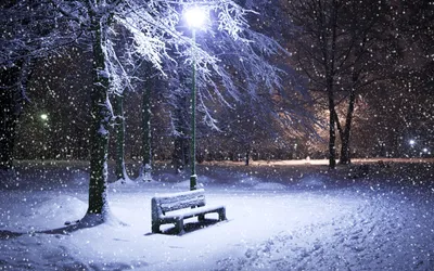 красивые зимние ландшафтные деревья в снежный вечер. красивый зимний снег  Стоковое Изображение - изображение насчитывающей конструкция, карточка:  233331691