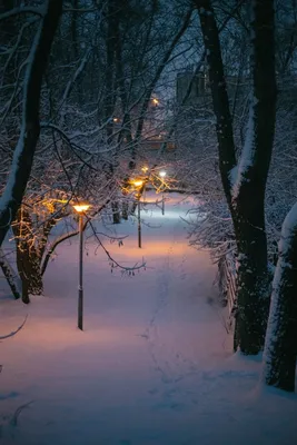 Зимний вечер | Живописные пейзажи, Летние картинки, Пейзажи