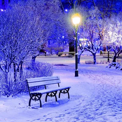 Картина по номерам \"Красивая зима\"