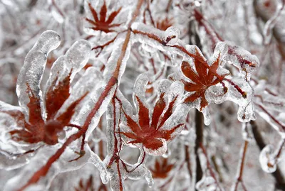 Декабрь привет зима на улице красивые пейзажи снеговик и девушка PNG ,  Привет, декабрь, зима Иллюстрация Изображение на Pngtree, Роялти-фри